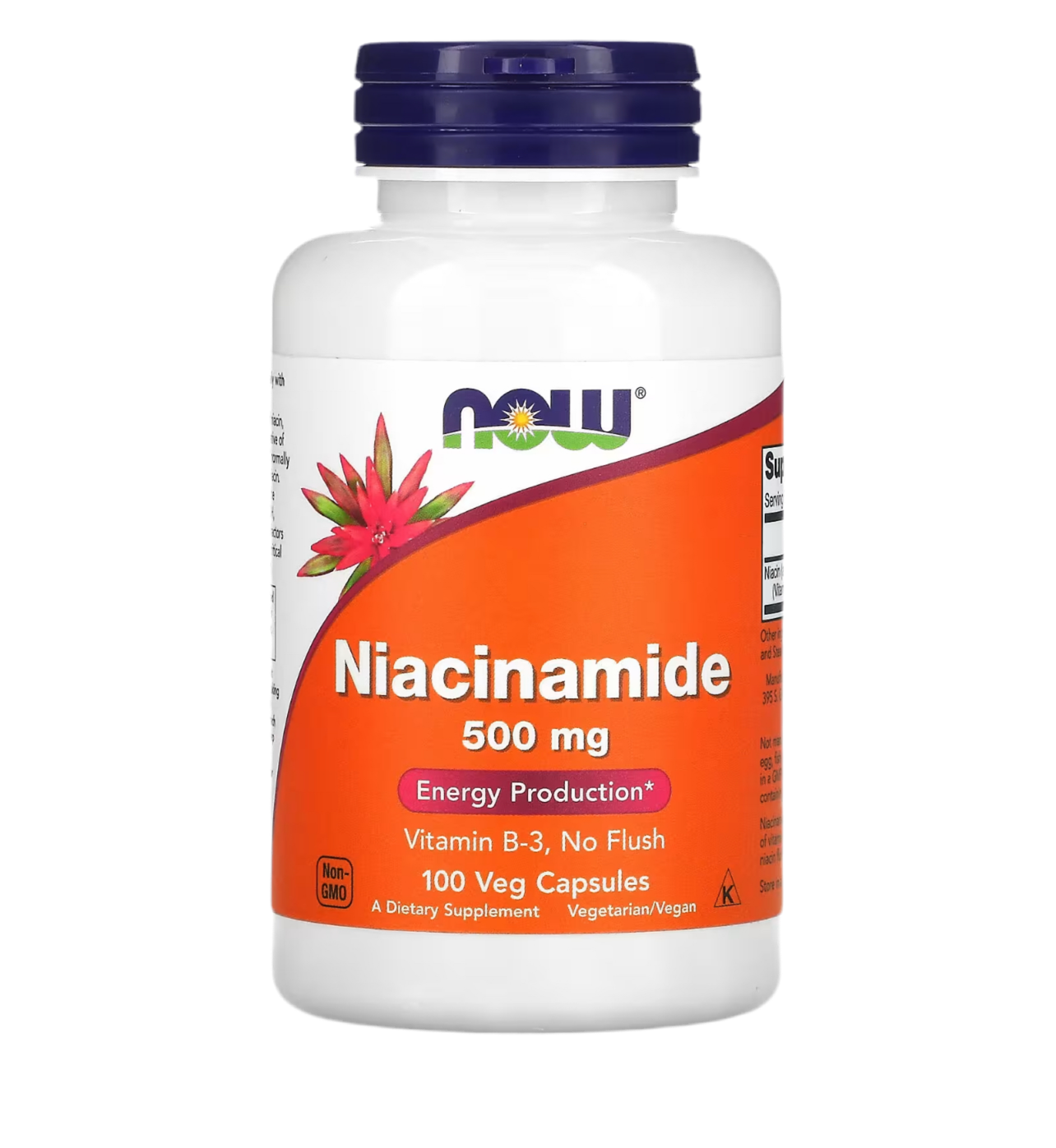 Niacinamid (500mg)